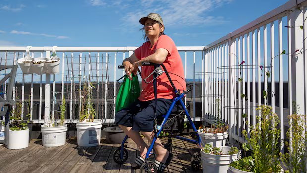 Thunder Bay, Ont., health unit takes owner of seniors’ apartment to court