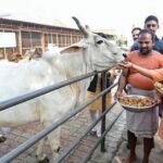 UP: Two jailed, FIRs filed against activists over videos highlighting poor school conditions