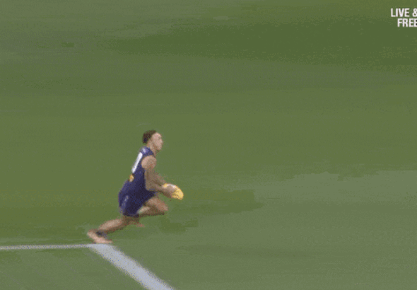 AFL finals 2026: How Fremantle star Shai Bolton is leading the Dockers’ premiership charge