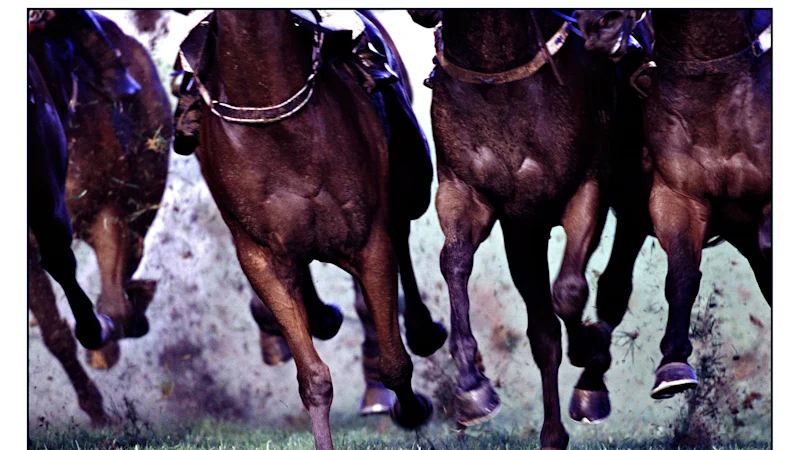 Revealed: What will win and why at Warwick Farm on Wednesday
