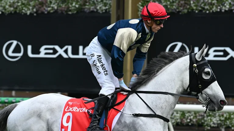 Melbourne Cup 2026: Saint George scratched from race after failing mandatory pre-race scan